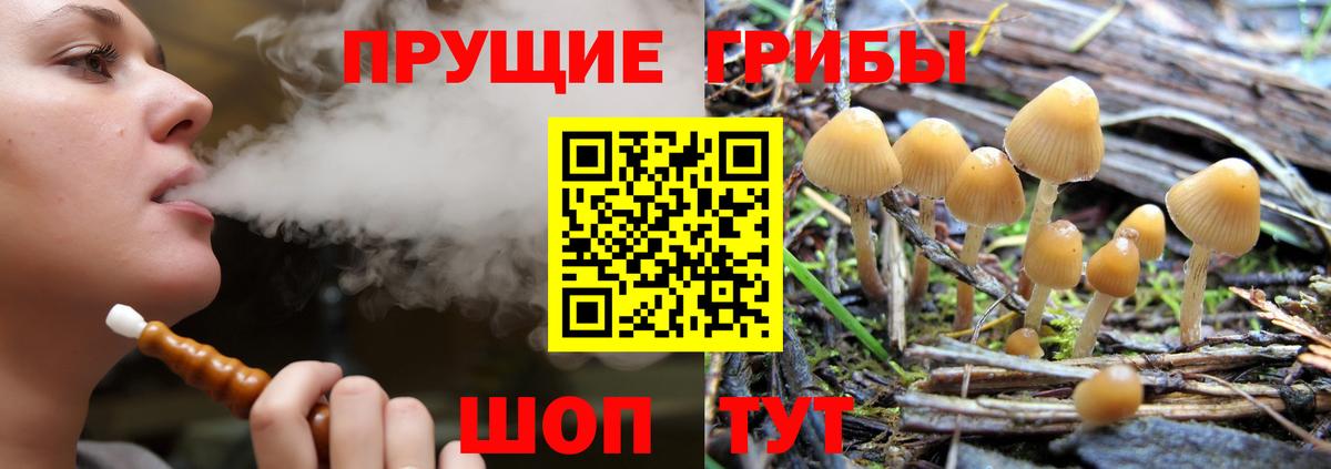 Псилоцибиновые грибы Psilocybine cubensis  Вход с VPN  Галлюциногенные грибы ЛСД  Ачинск 